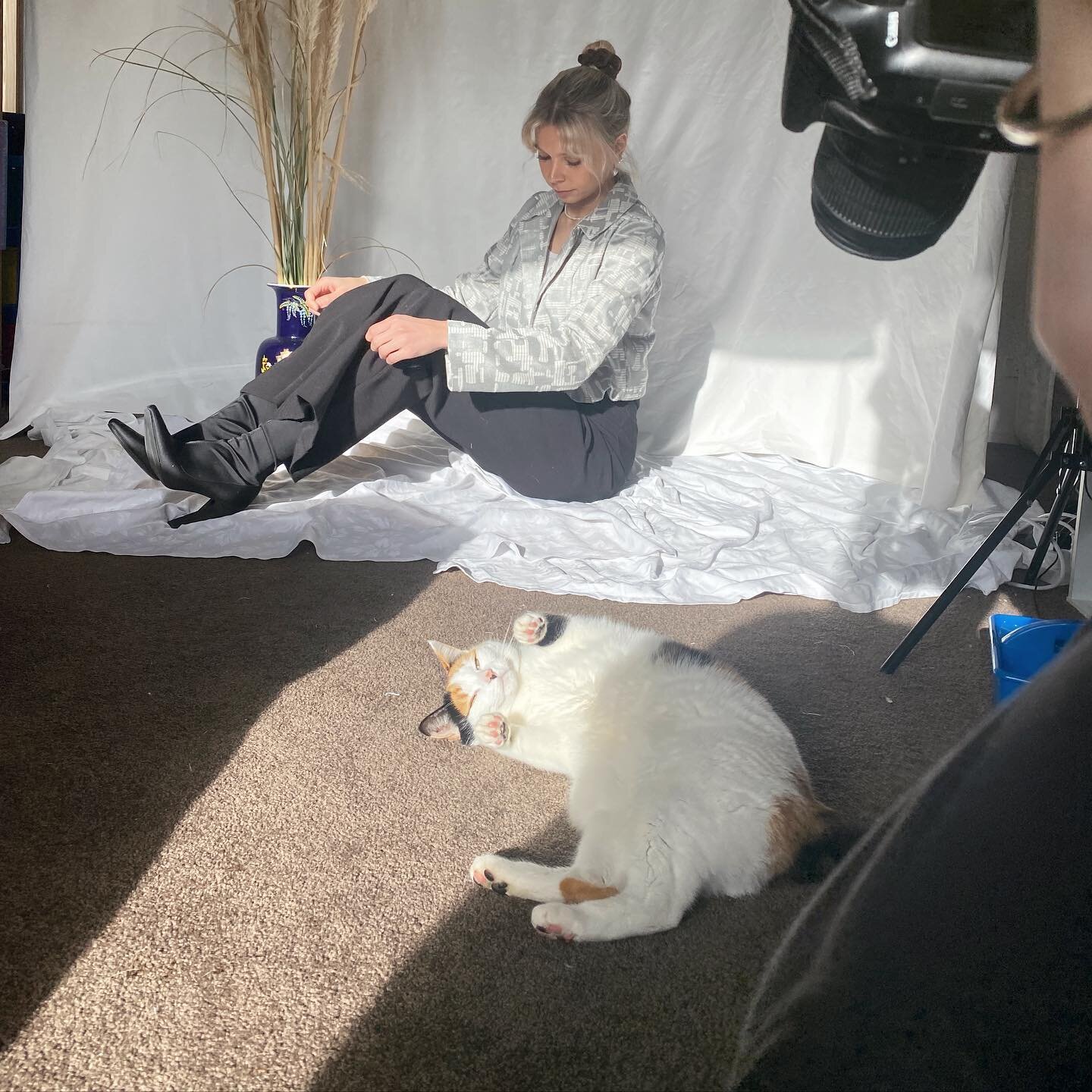 Little behind the scene of collection 1 shoot. The cat really wanted to help model 💞how adorable?!?
&bull;
&bull;
&bull;
#fashiondesigner #fashiondesign #fashionstyle #fashionblog #instafashion #ootd #style #instablog #fashionphotography #girlboss #