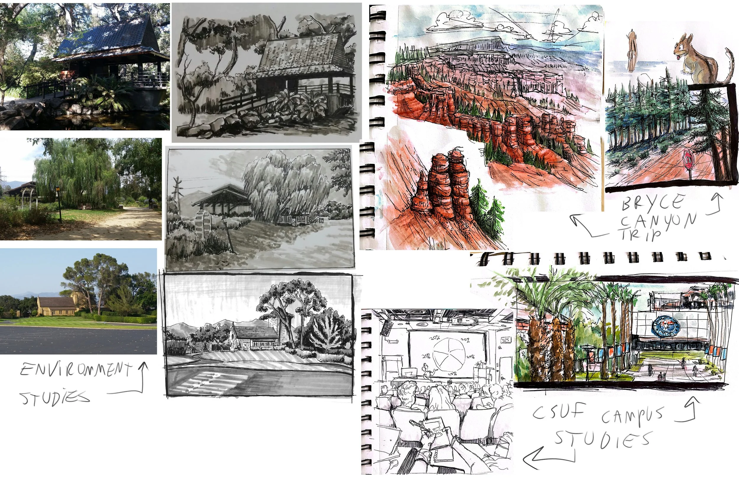 Observational Drawings.jpg