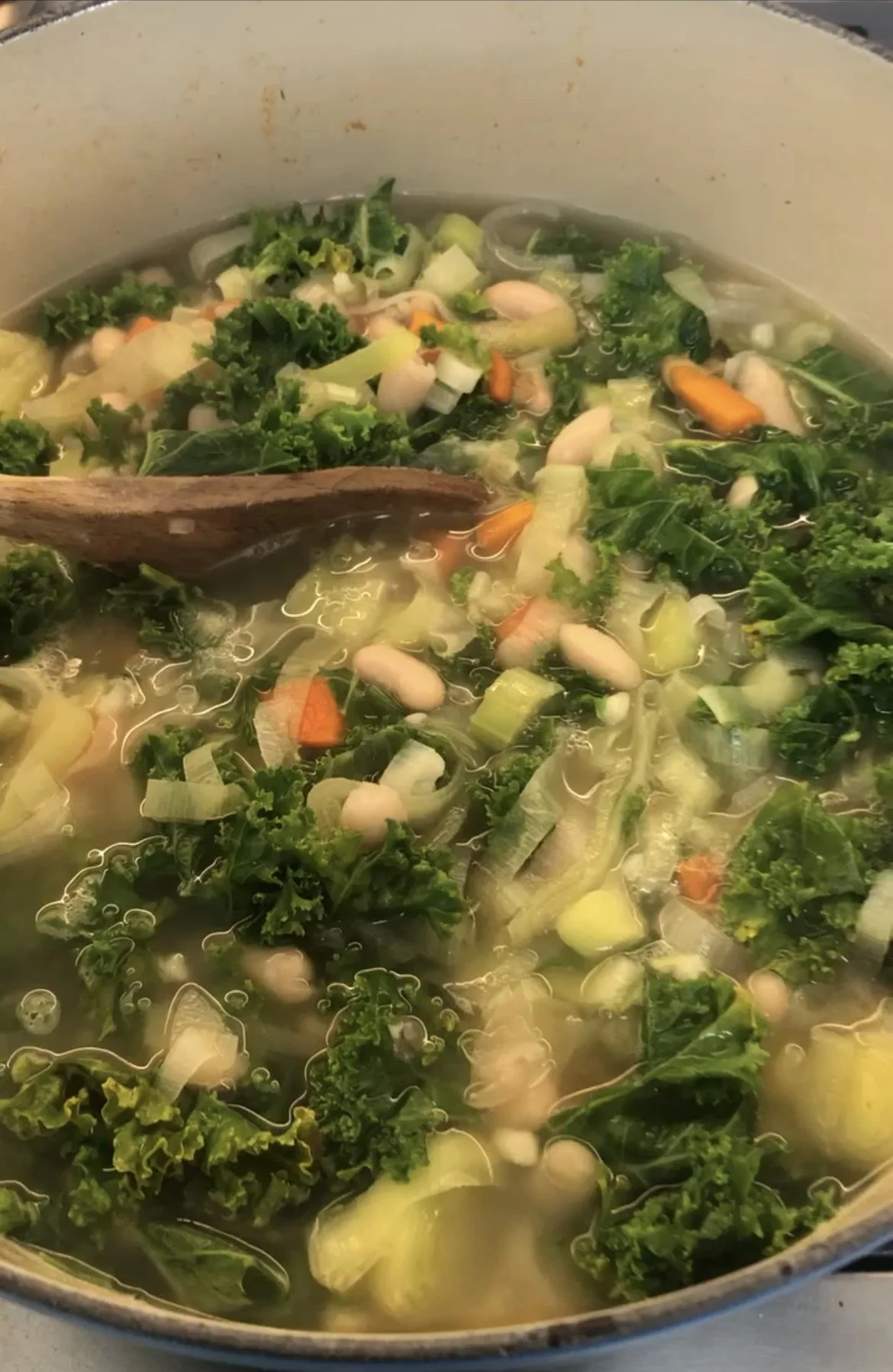 Zesty Veg & White Bean Soup