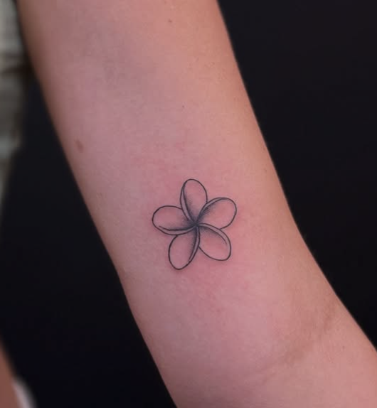 Screenshot 2025-11-21 at 11.55.35 PM.png