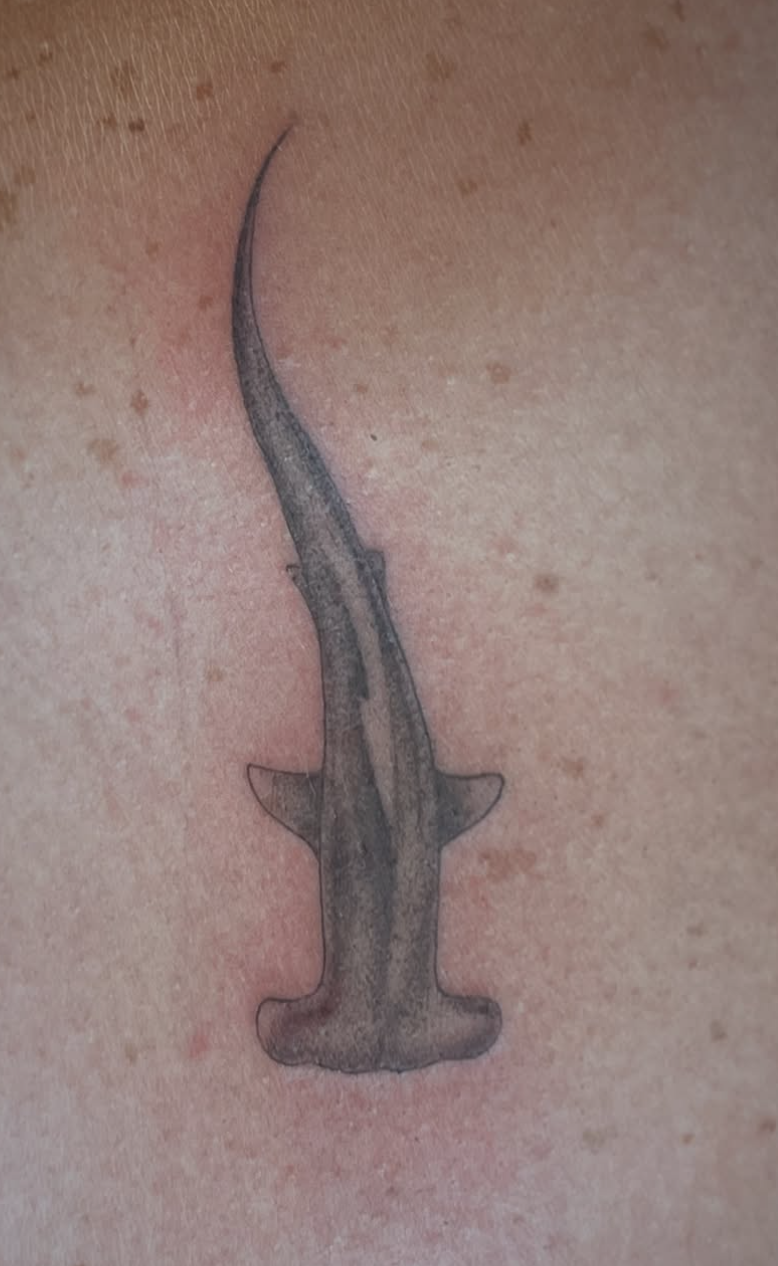 Screenshot 2025-11-21 at 11.34.38 PM.png