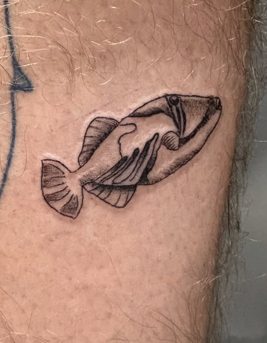 Screenshot 2025-11-22 at 12.04.54 AM.png