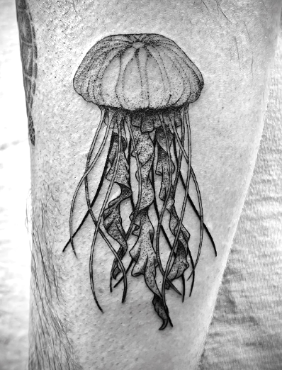 Screenshot 2025-11-21 at 11.35.53 PM.png