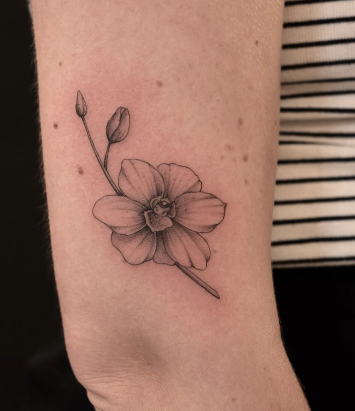 Screenshot 2025-11-21 at 11.40.27 PM.png