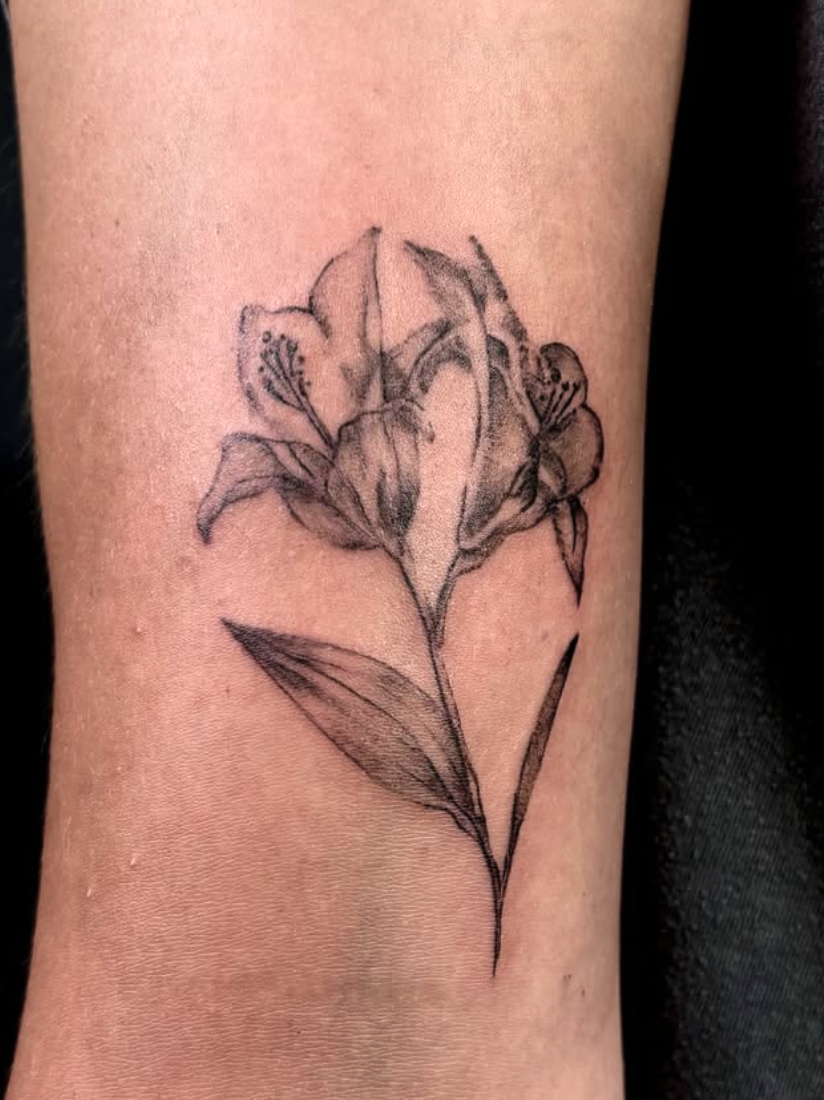 Screenshot 2025-11-22 at 12.07.50 AM.png