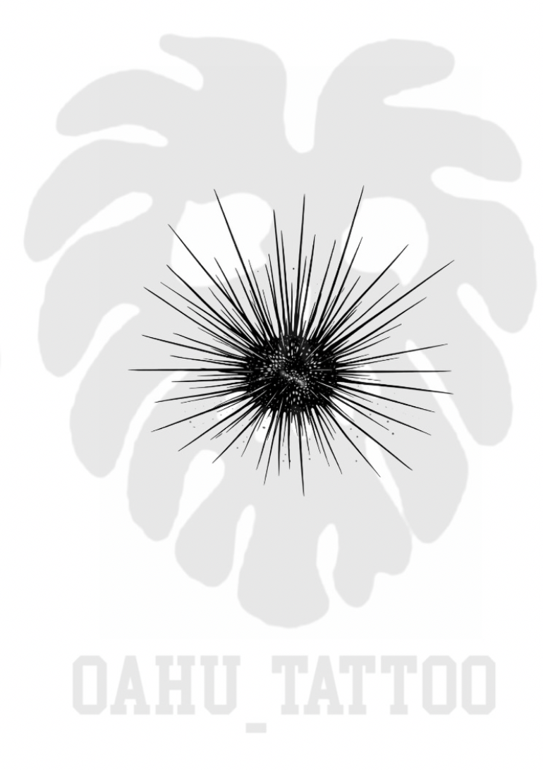 Screenshot 2026-06-11 at 10.06.32 AM.png