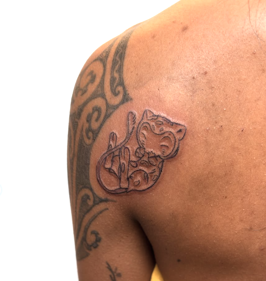 Screenshot 2025-11-22 at 12.06.35 AM.png