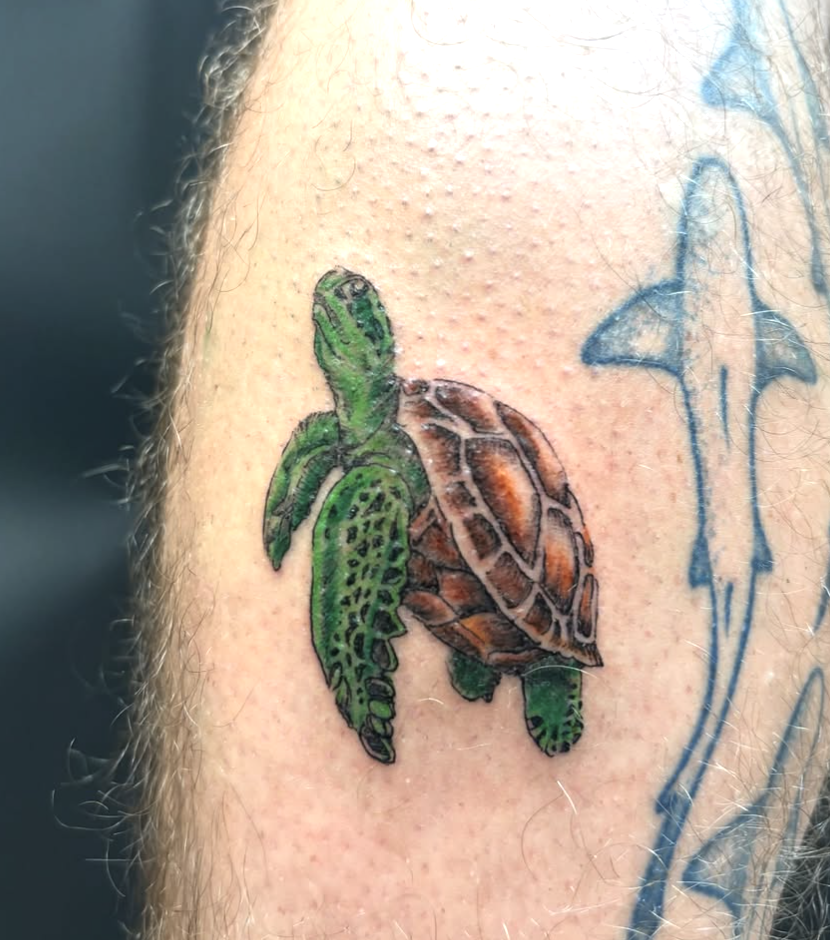 Screenshot 2025-11-22 at 12.04.49 AM.png