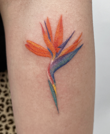 Screenshot 2025-11-21 at 11.35.48 PM.png