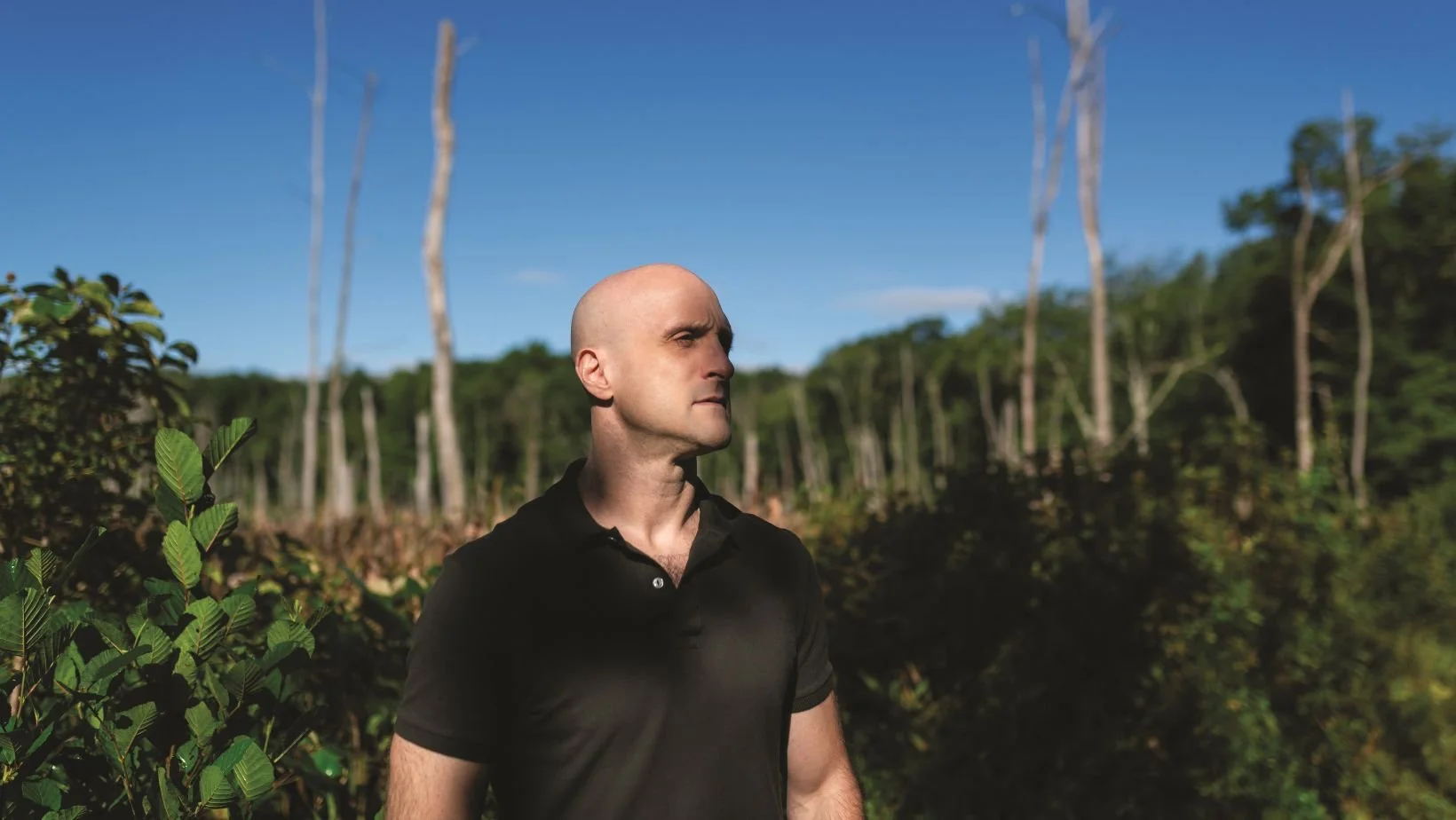 Arvid Nelson's Fantastic World