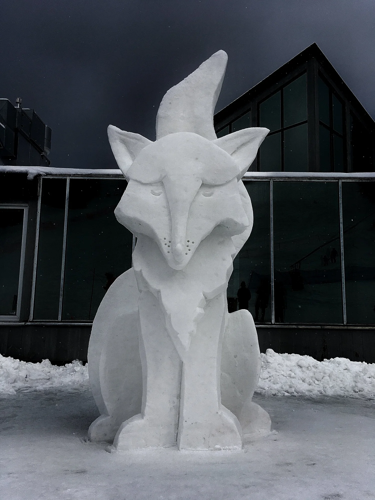 Let It Snow: Dave Rothstein's Ode to Winter — Reider Media