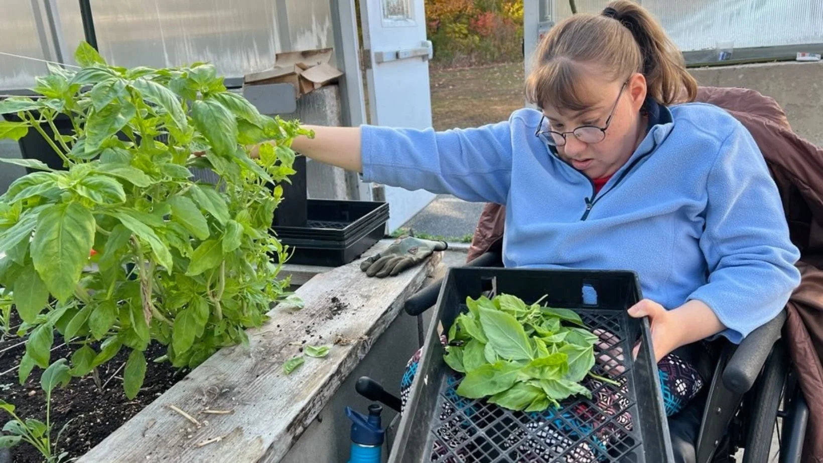 The Therapeutic Power of Gardening