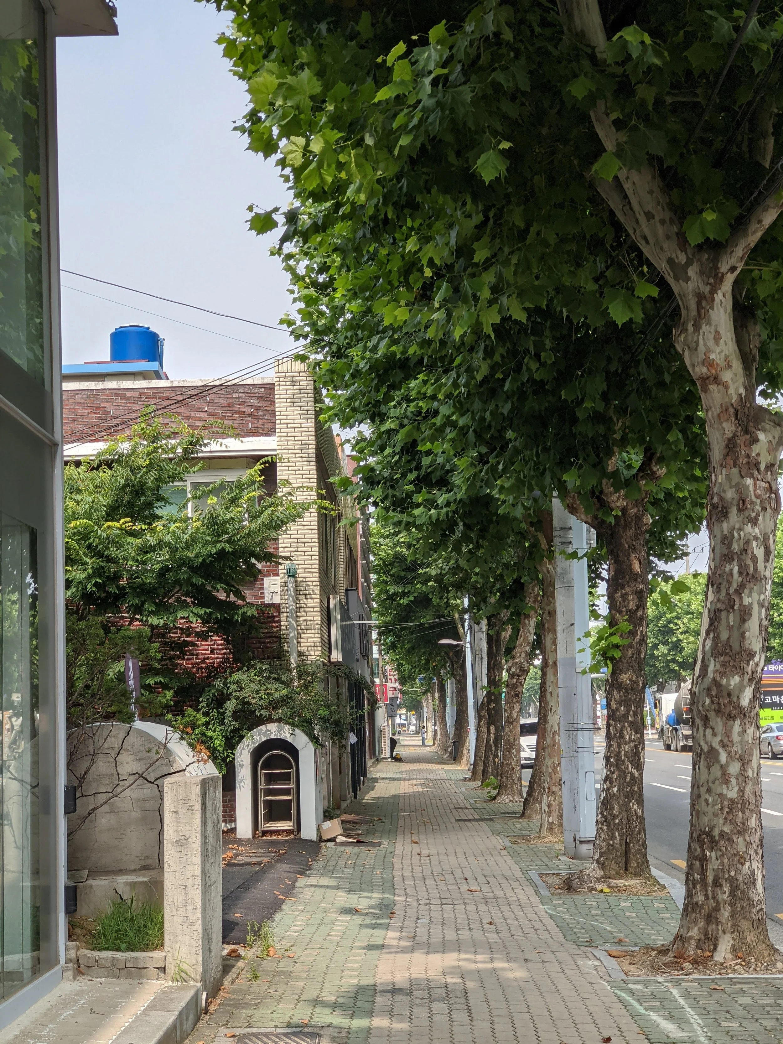 Daegu, Korea