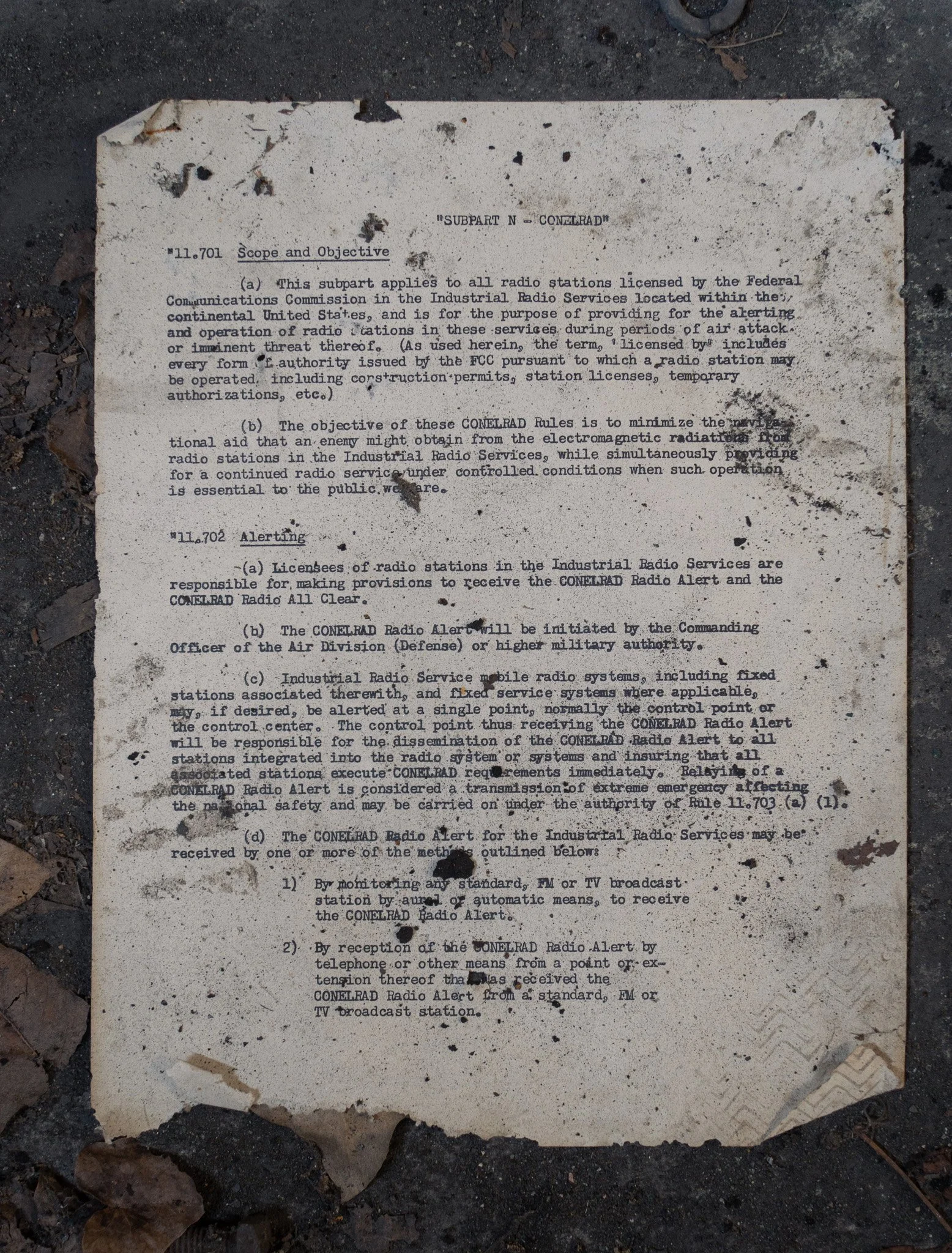 A7M05194.jpg