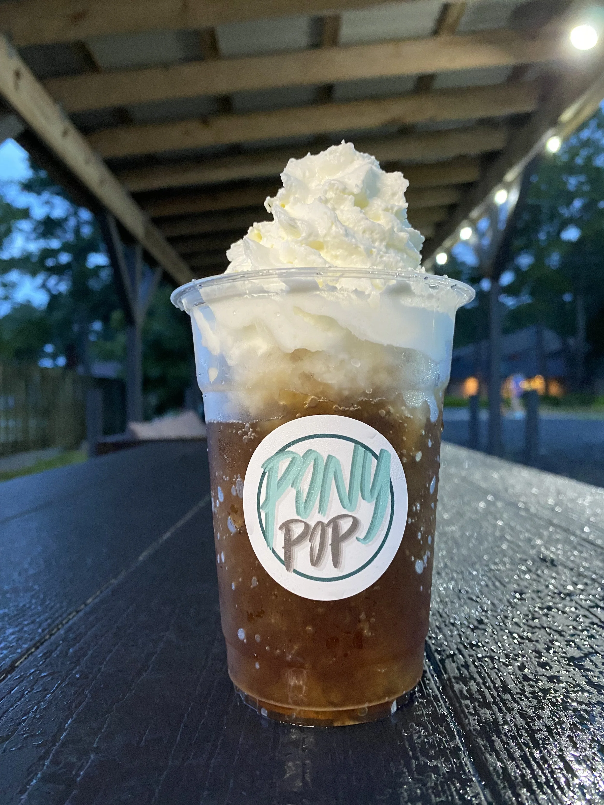 Frozen Palomino.jpeg