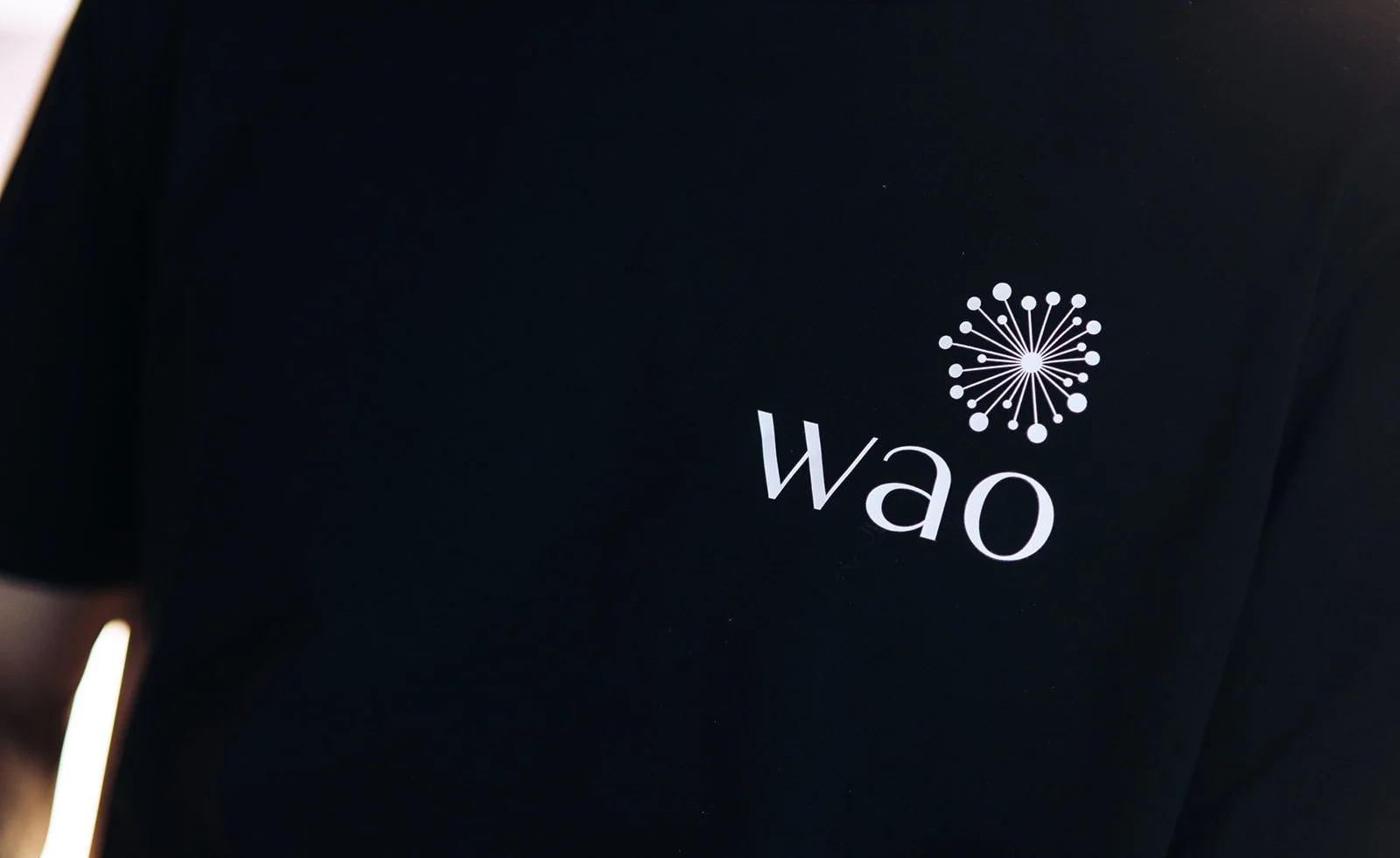 Running a Waste-Free Wao Summit: Sustainable Practices in Action — Wao
