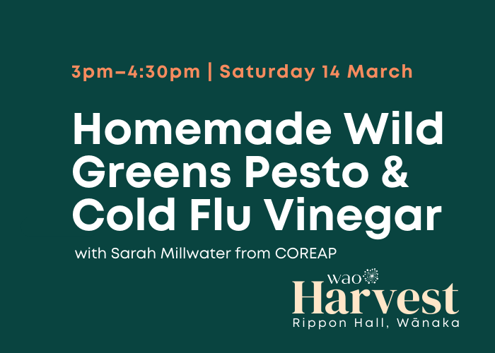 Homemade Wild Greens Pesto &amp; Cold Flu Vinegar