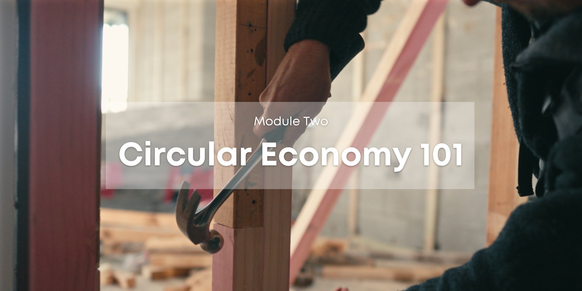 Coming Soon - Module Two: Circular Economy 101 