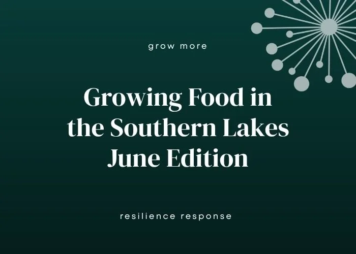 Growing Food in Southern Lakes - June Edition: build a compost, improve your soil, plant garlic.
