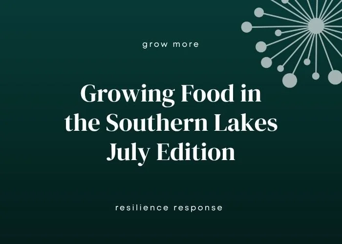 Growing Food in Southern Lakes - July Edition: raised beds, manures and perennial propagation