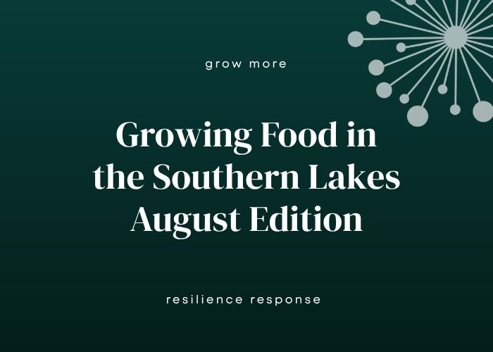 Growing Food in the Southern Lakes - August Edition: Seeds, Spuds &amp; Scavengers