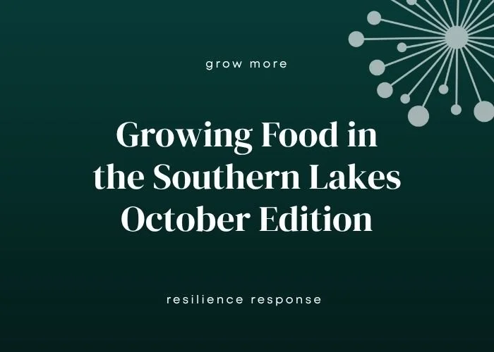 Growing Food in the Southern Lakes - October: It's all on (but watch the frost)