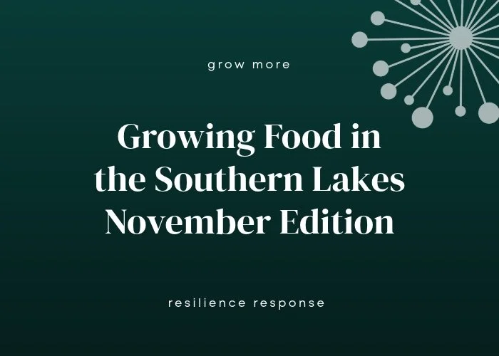 Growing Food in the Southern Lakes - November: Plant out, prop up, water well