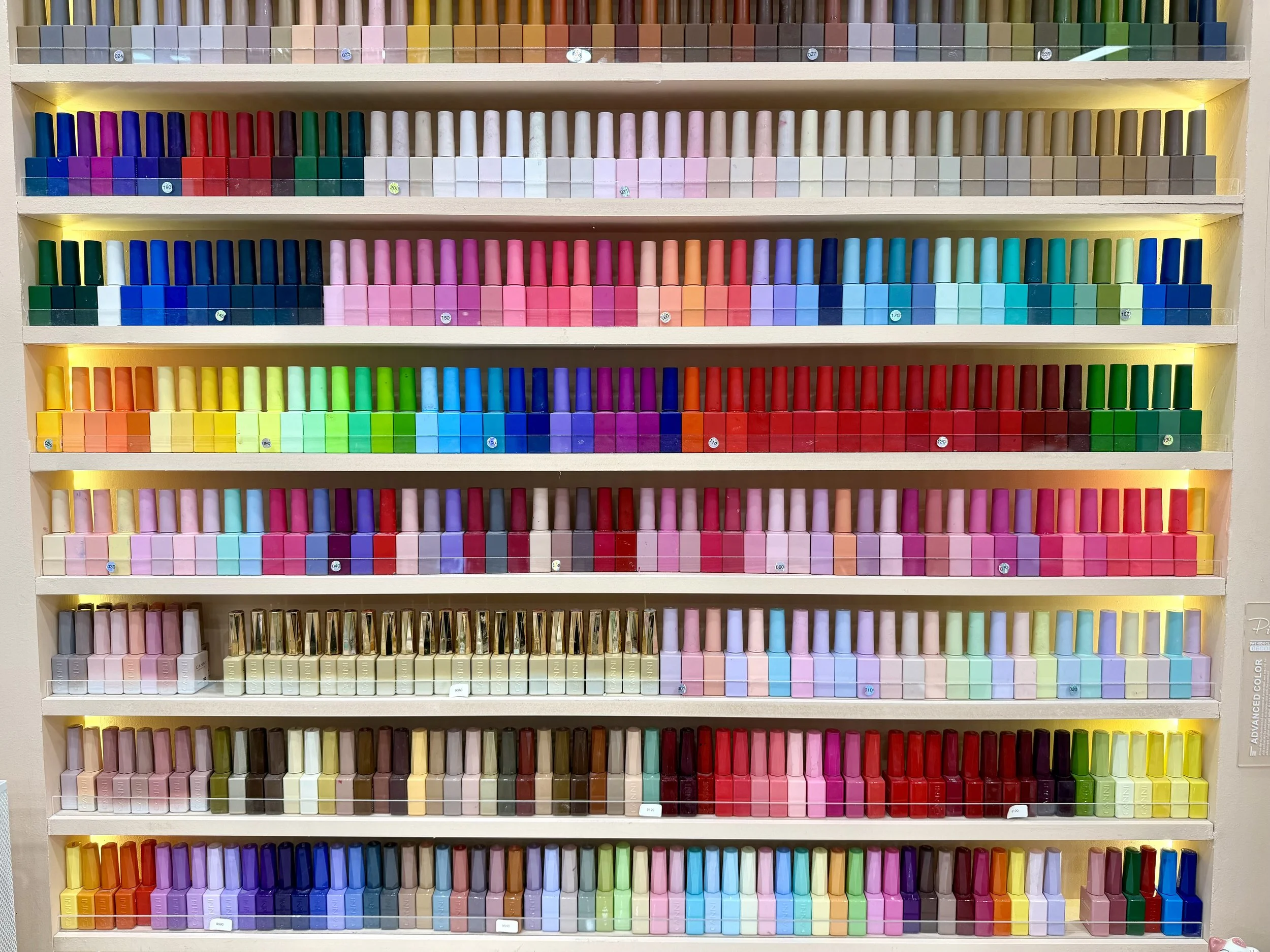 A wall of shelves displaying a variety of lipstick lip products in different colors, organized by shades from top to bottom.