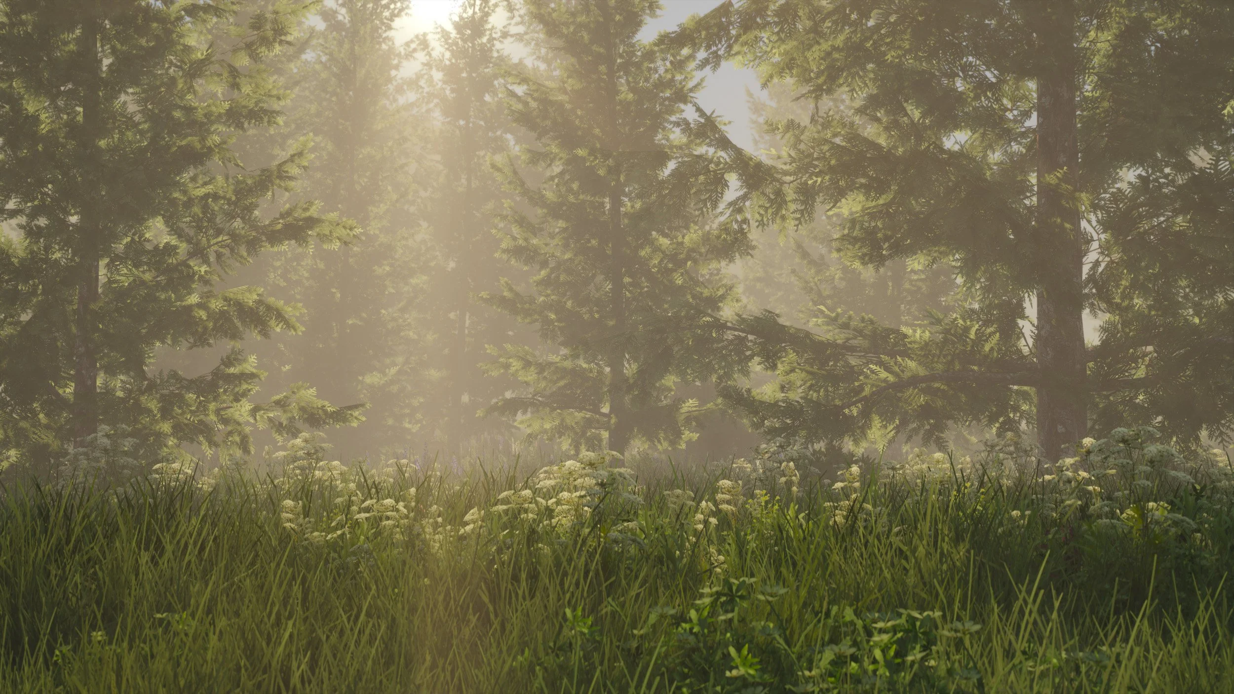 Foggy.png