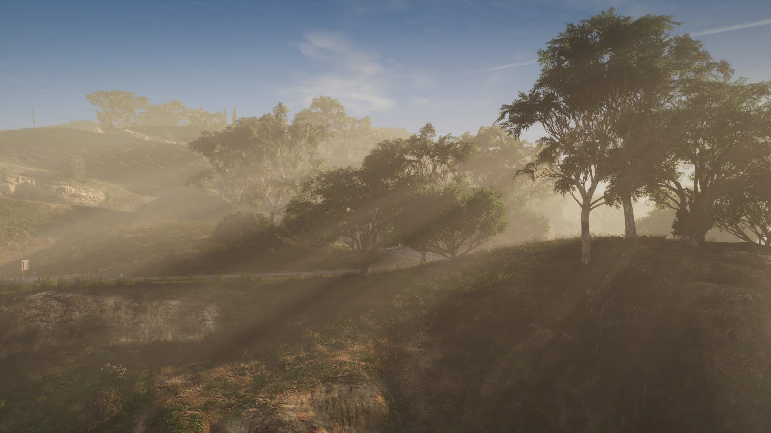 Foggy-Late-Afternoon.png