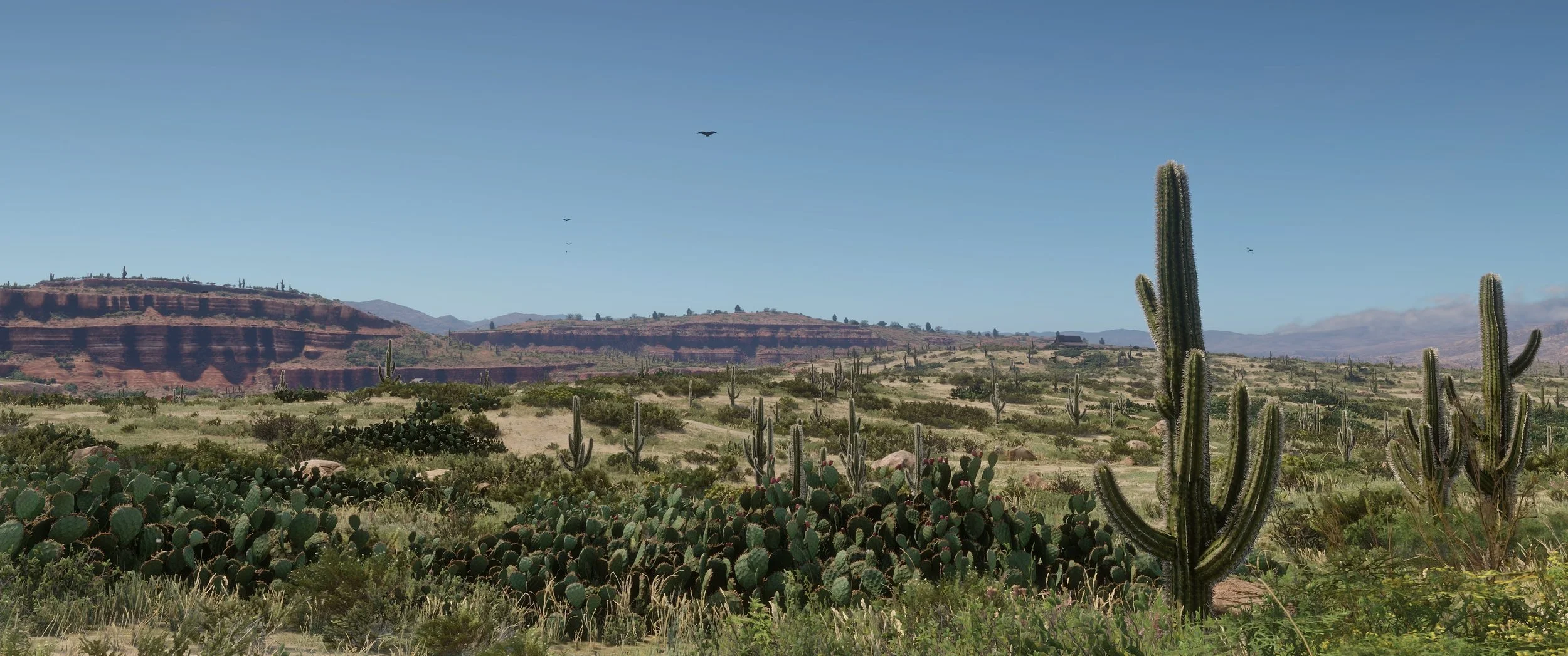 Desert.jpg