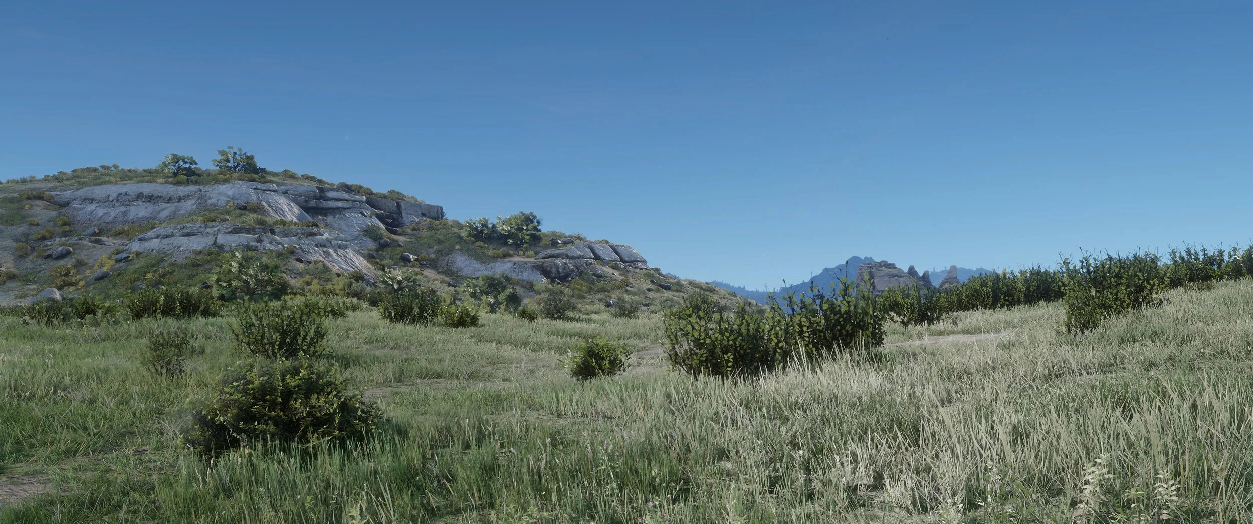 Landscape.jpg