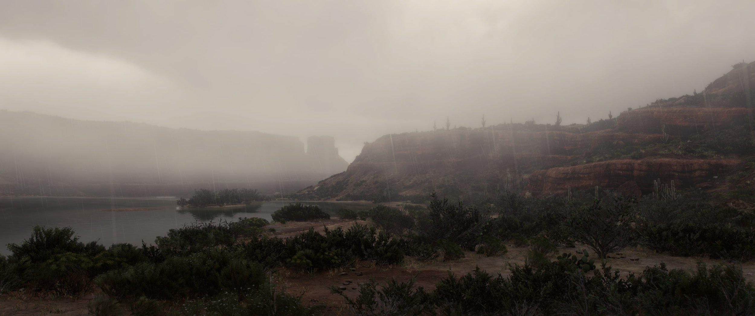 Rain Desert.jpg