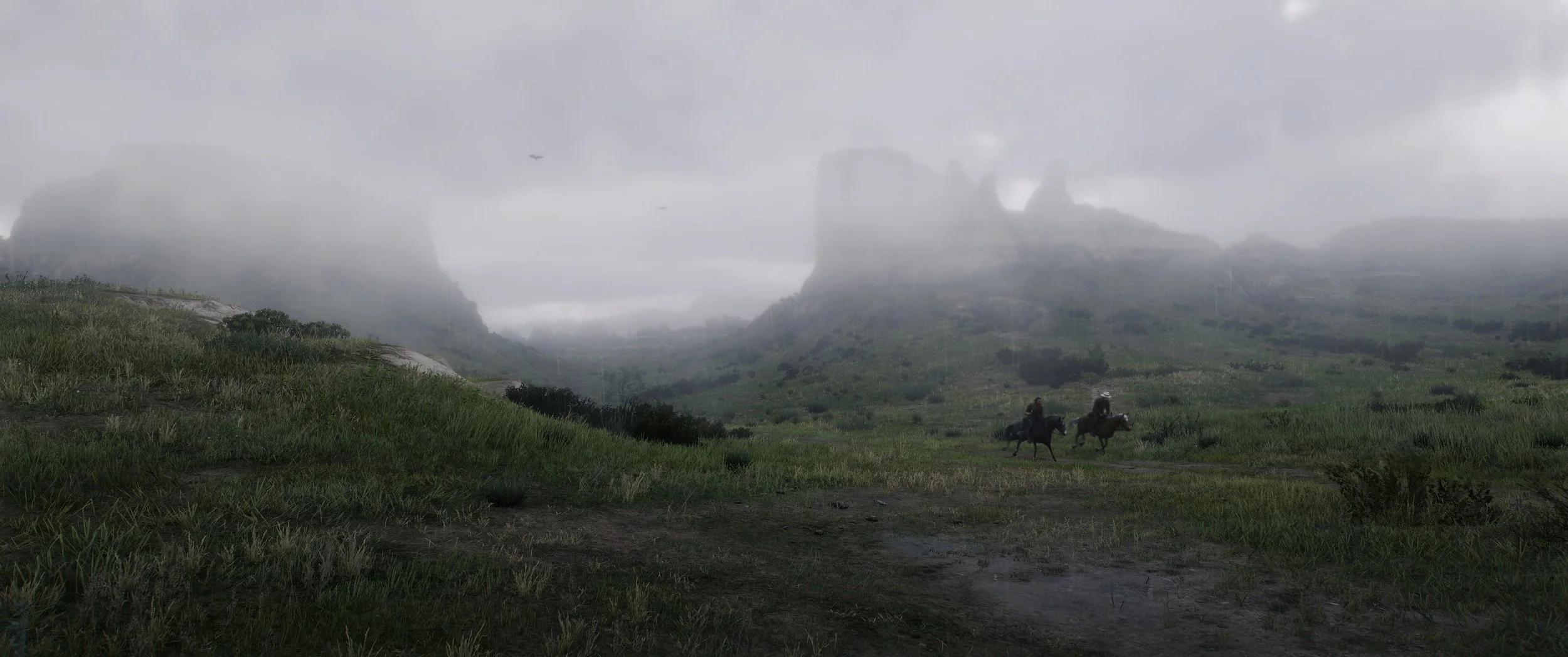 Rain Fog.jpg