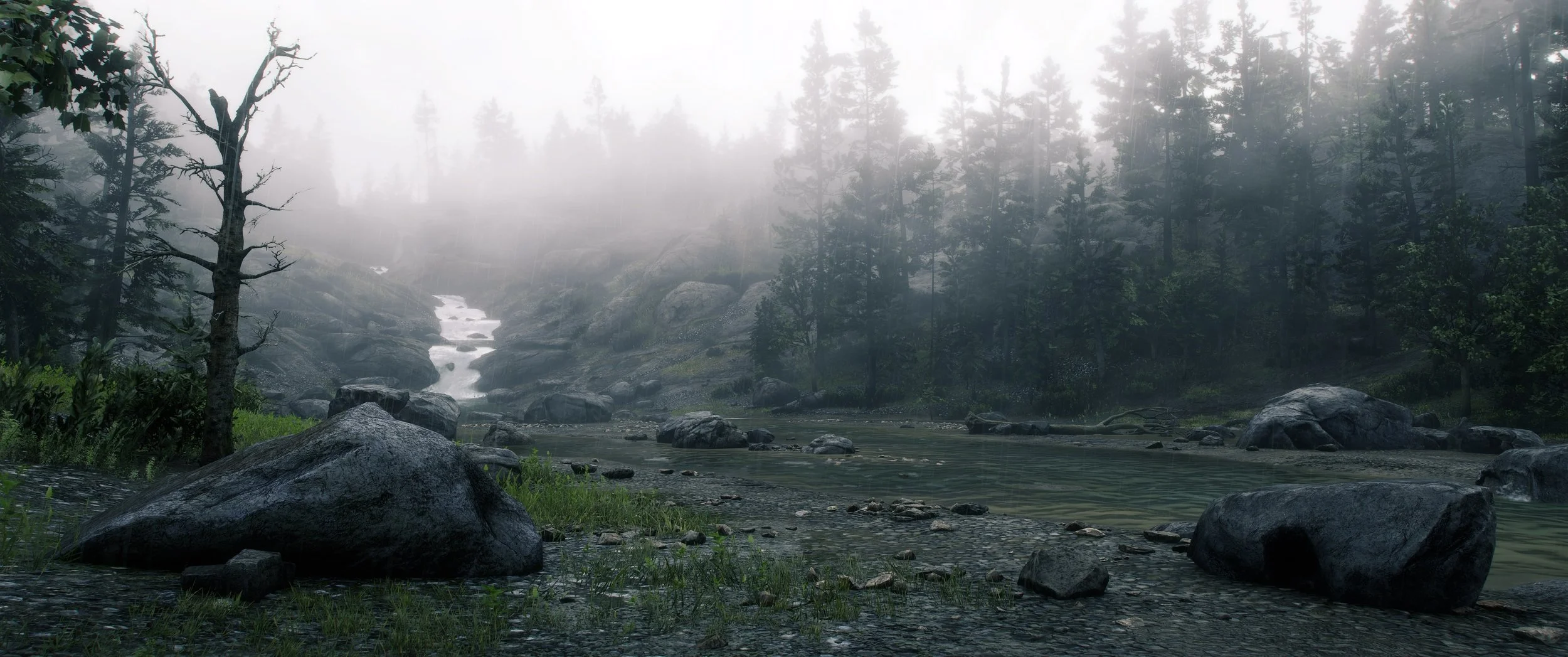 Rain Rocks.jpg