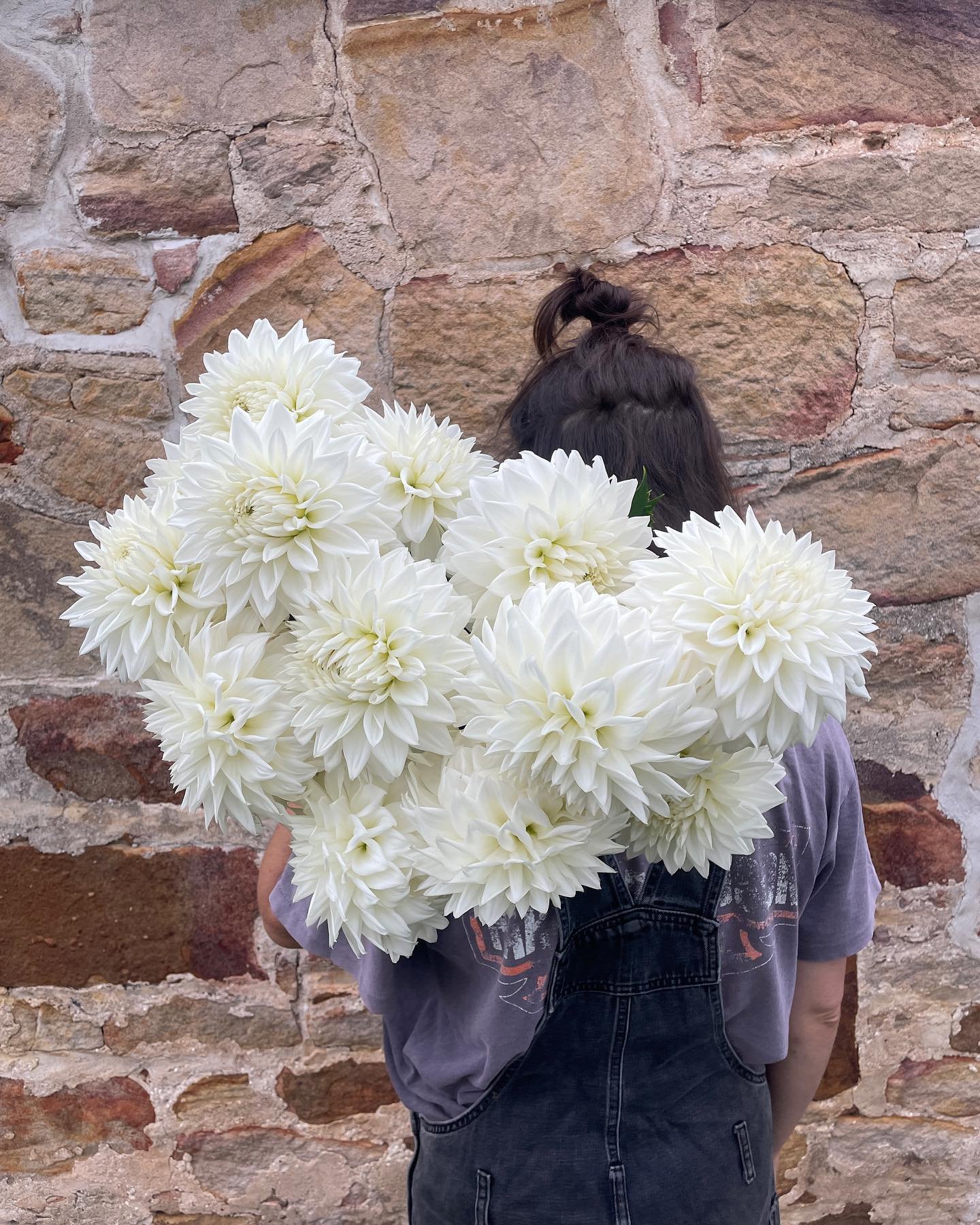 Devon Casper looking crisp 😎

#dahlias #dahliaseason #devoncasper #weddingflowers #microflowerfarm