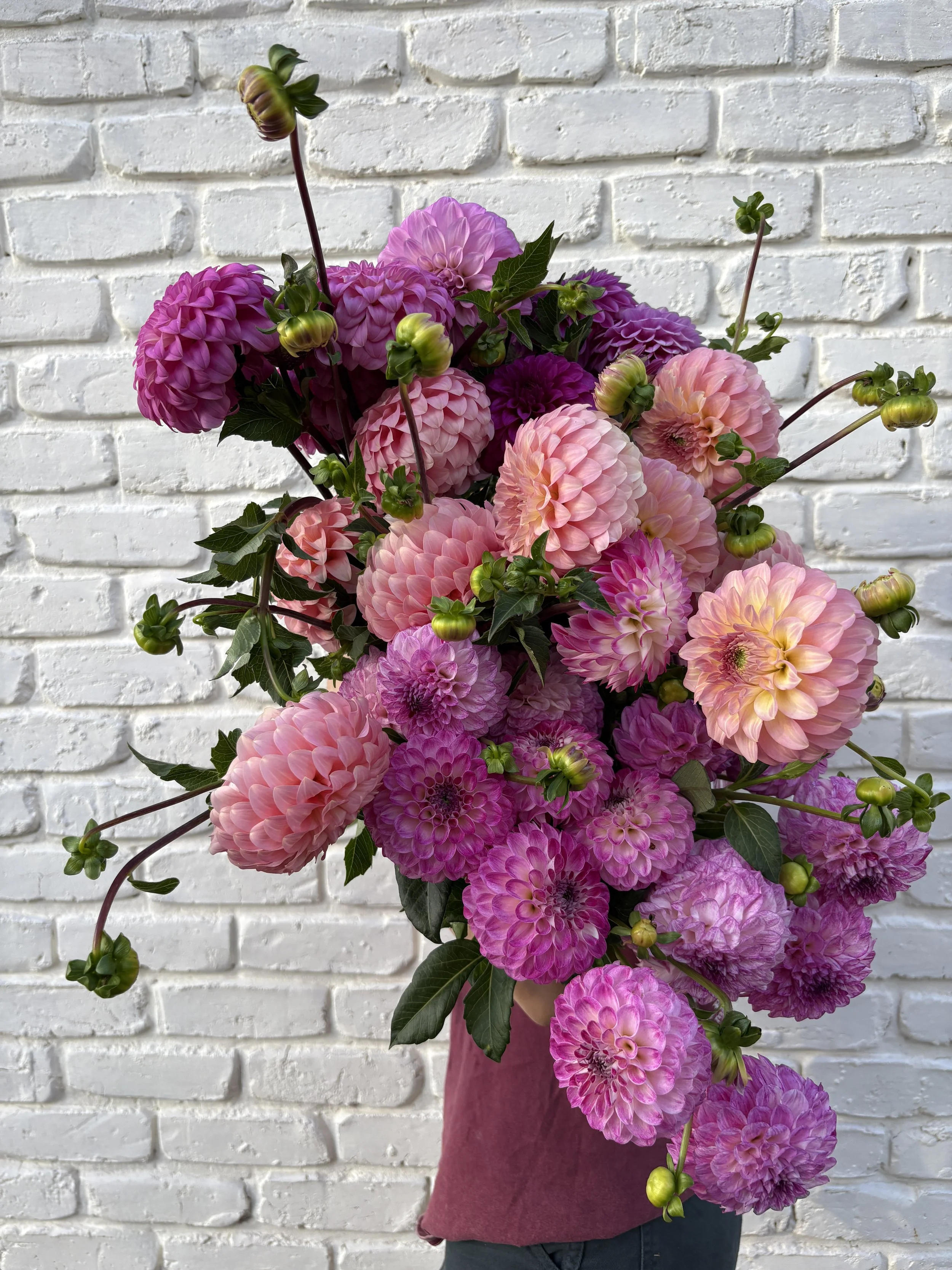 Bunch of dahlias