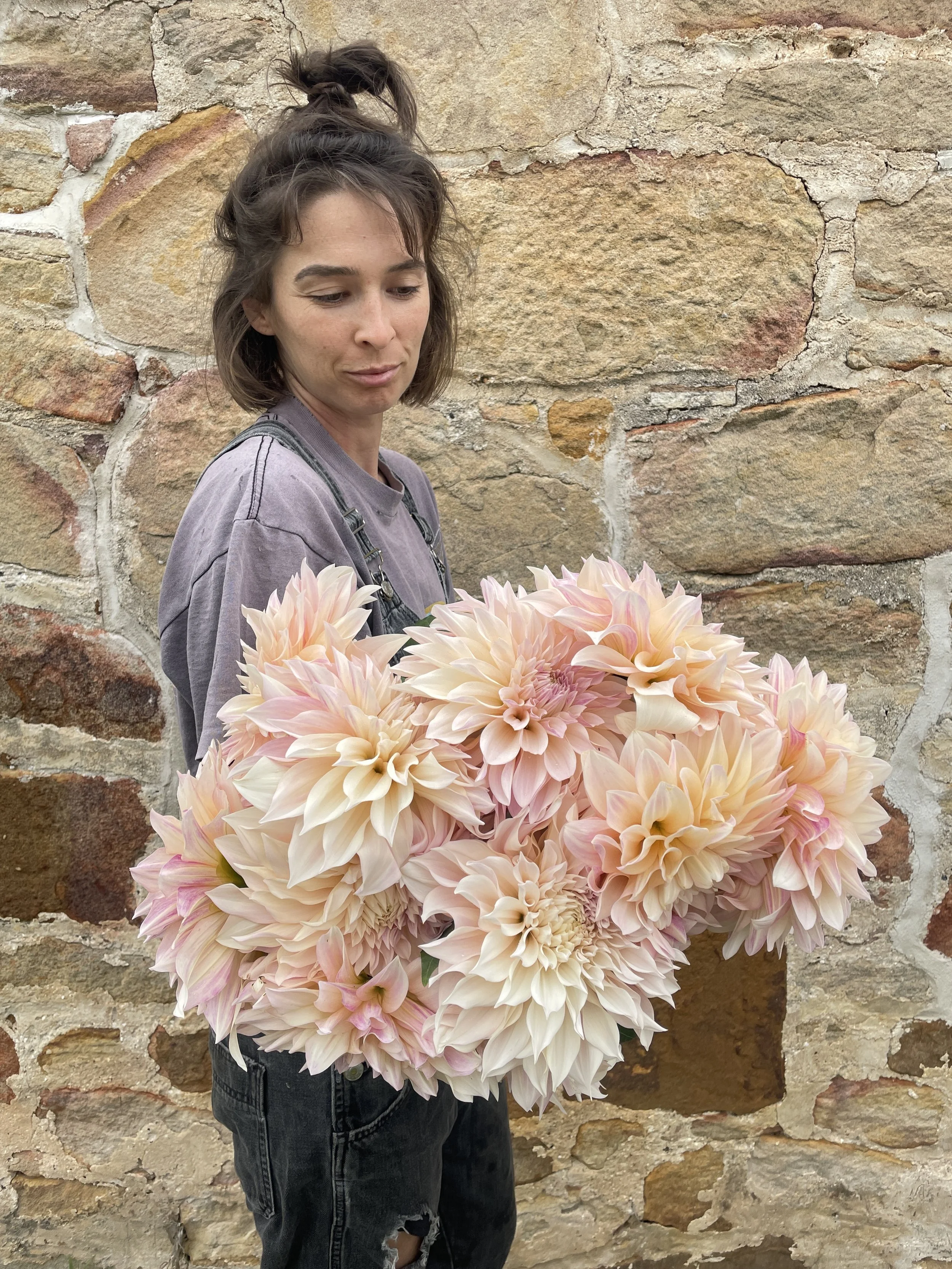 A woman holding a large bouquet of pink and white dahlia flowers standing in front of a stone wall.