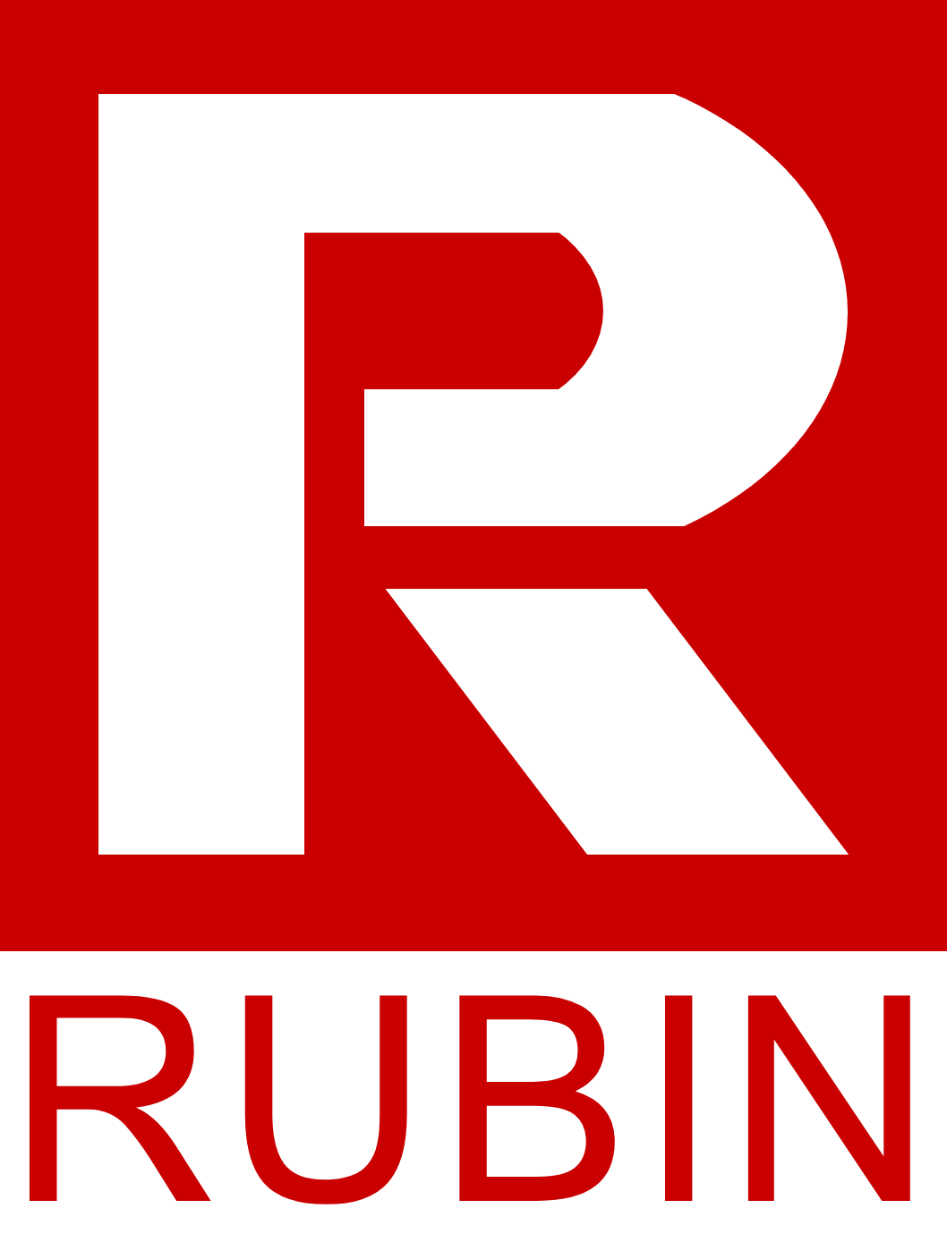 Rubin Holdings