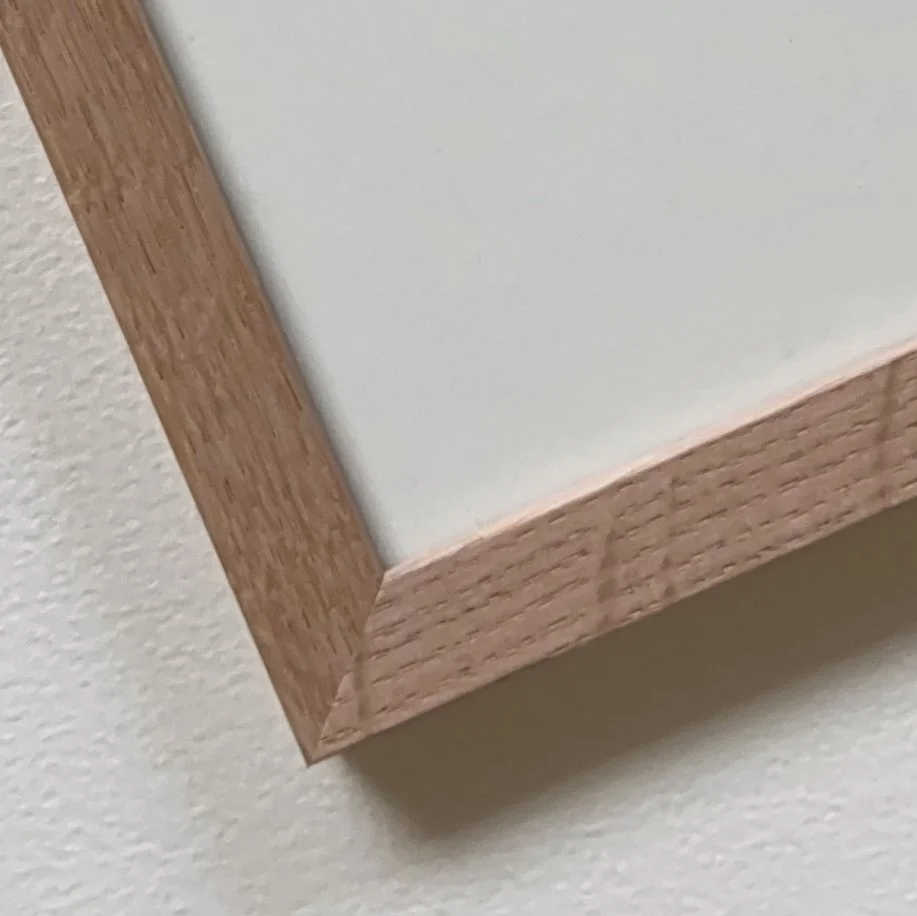 IMG_6513.jpg (Copia) (Copia) (Copia) (Copia)