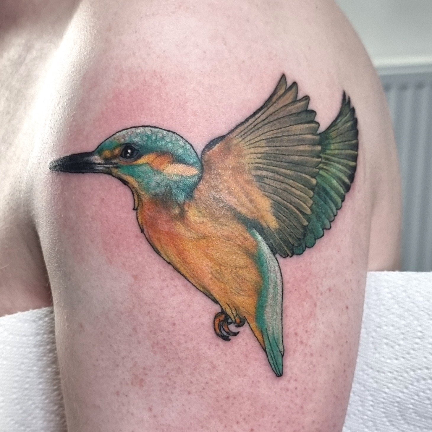 Large 'Perched Kingfisher' Temporary Tattoo (TO00045490) : Everything Else  - Amazon.com
