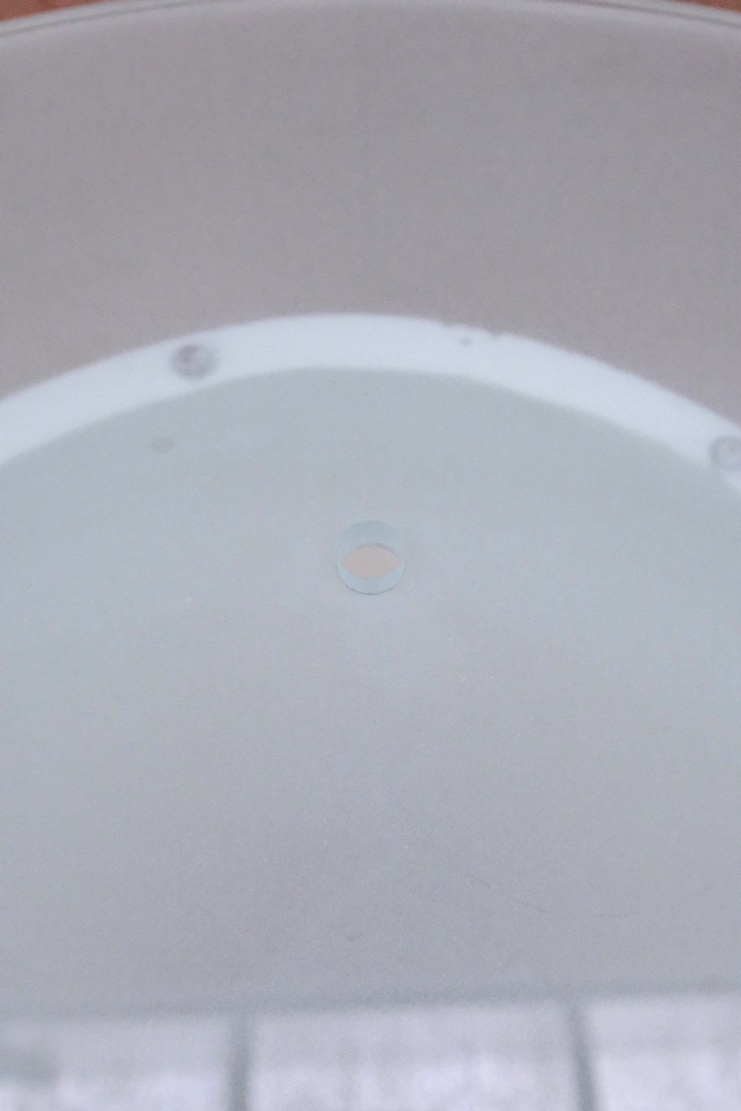 DSCF3187.jpg