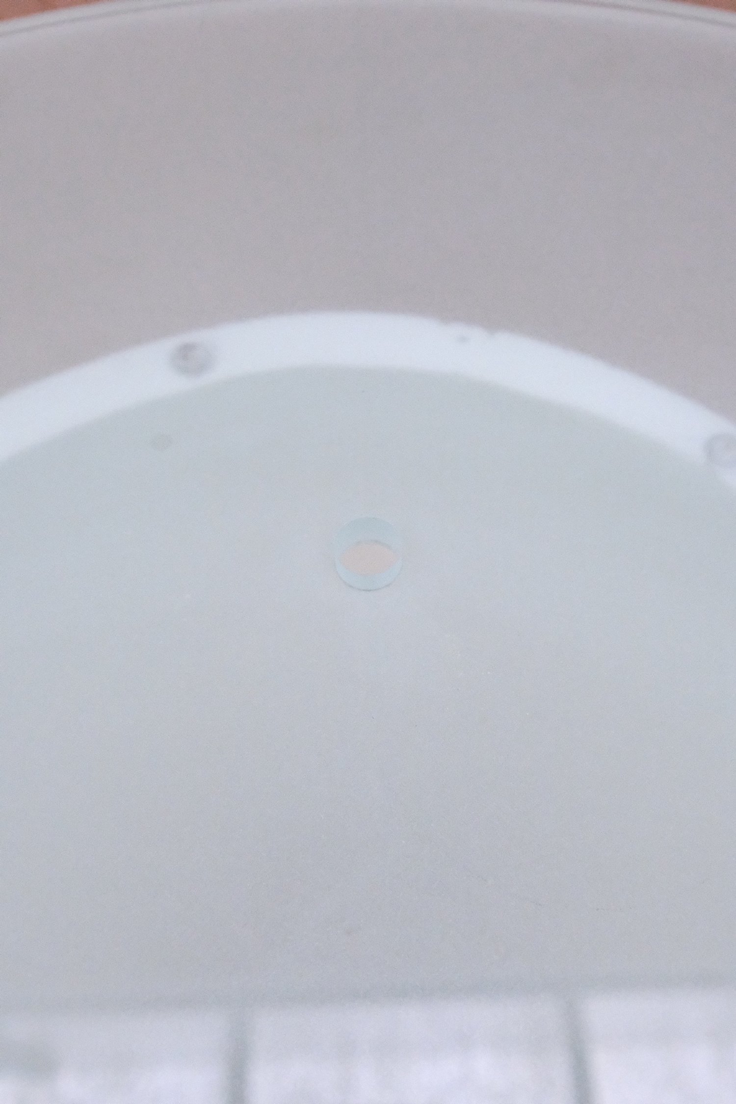 DSCF3187.jpg