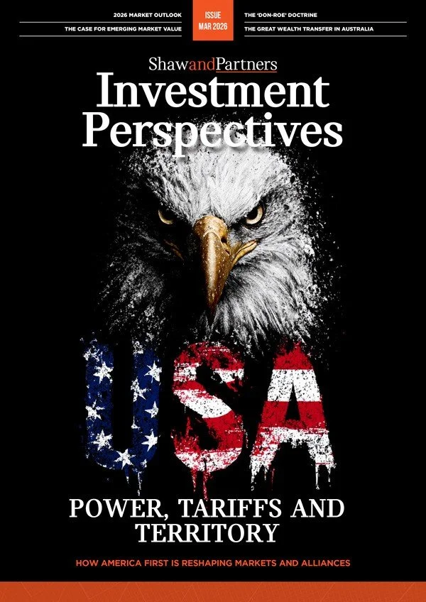 USA Investment Perspectives