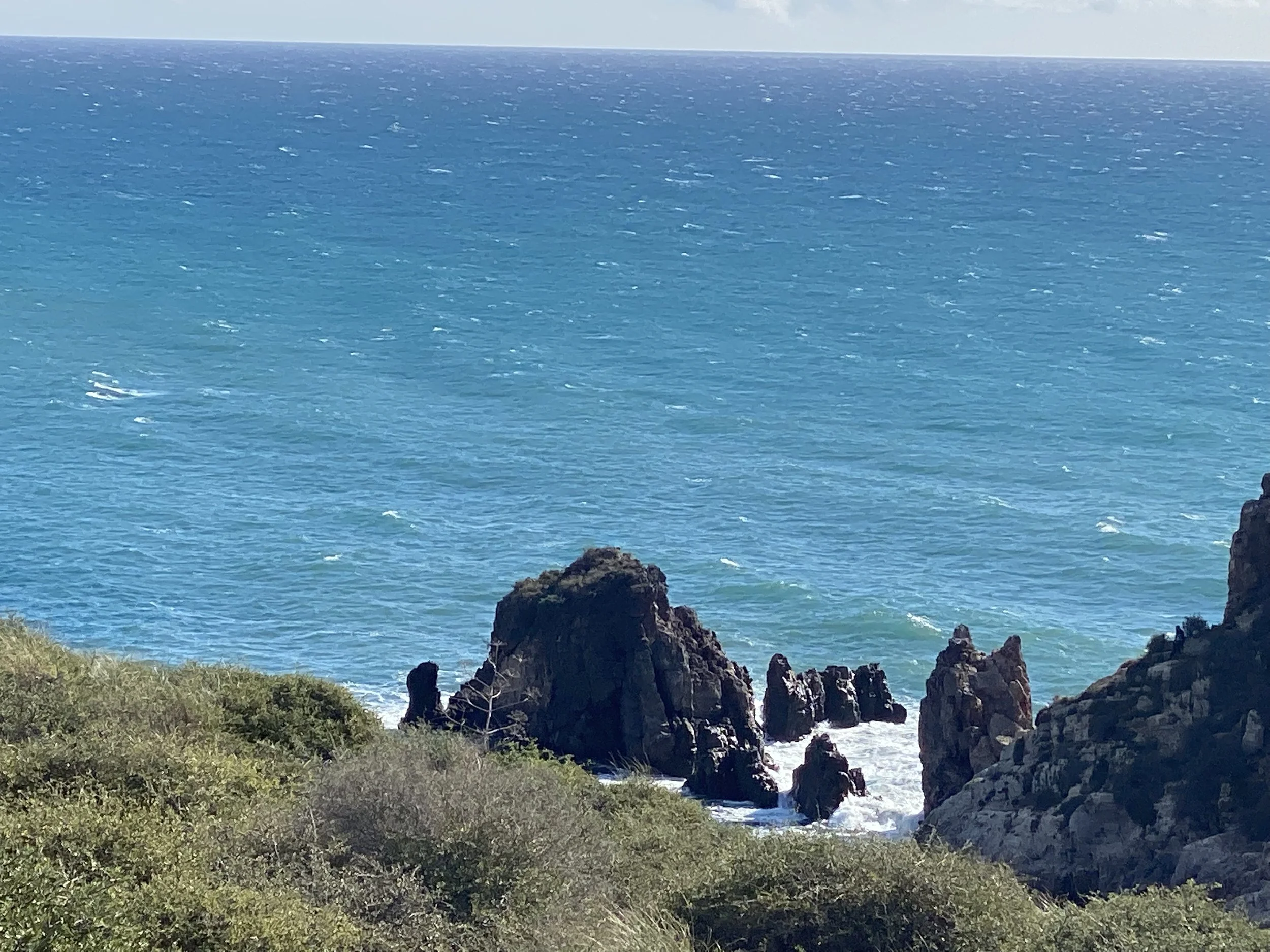 Photo 08-12-2021, 12 51 57.jpg