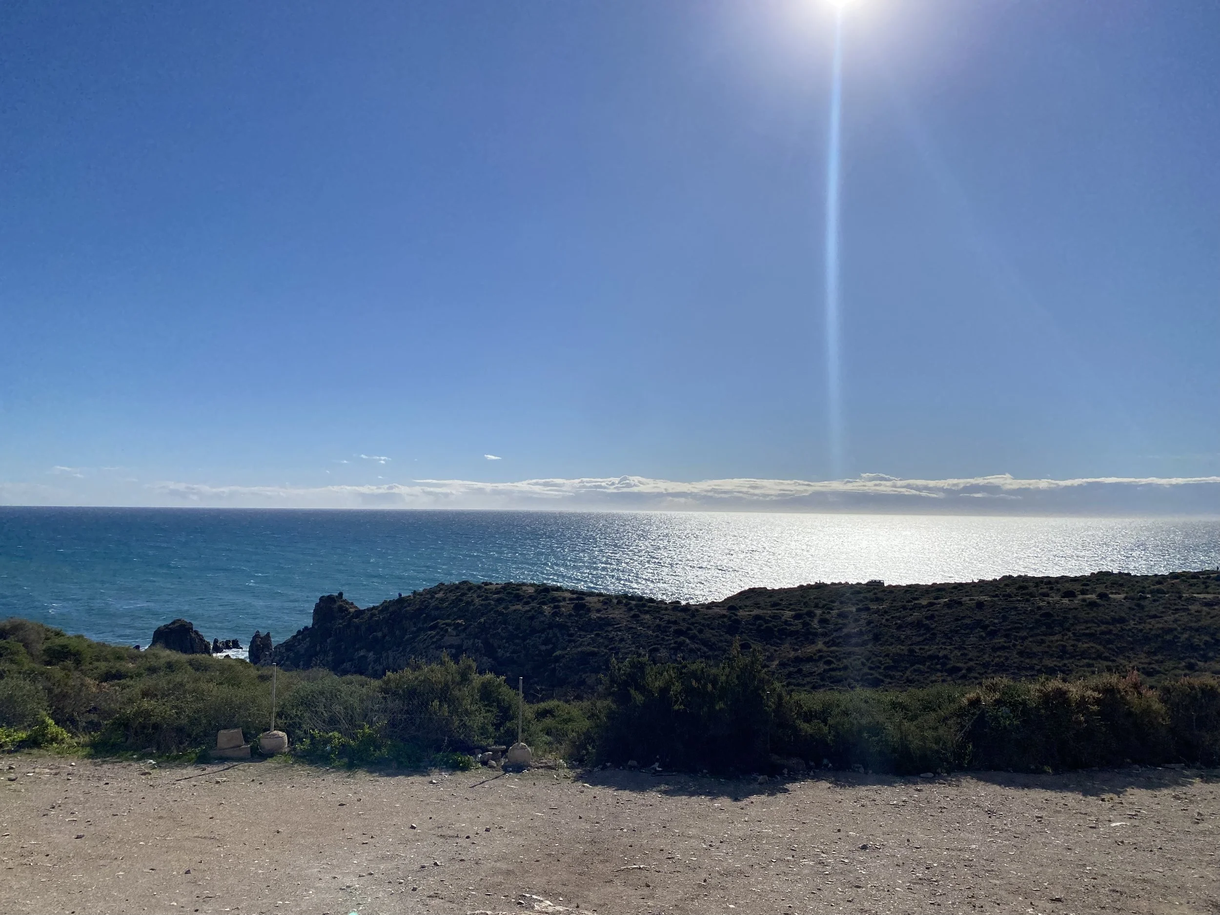 Photo 08-12-2021, 12 51 26.jpg