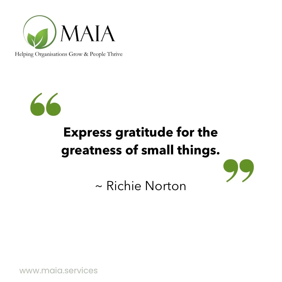 🍁 As many of us head into Thanksgiving tomorrow, I&rsquo;ve been reflecting on the power of the small things. The moments we often rush past, minimise, or forget entirely because we&rsquo;re busy striving for the next milestone.

What I often see in