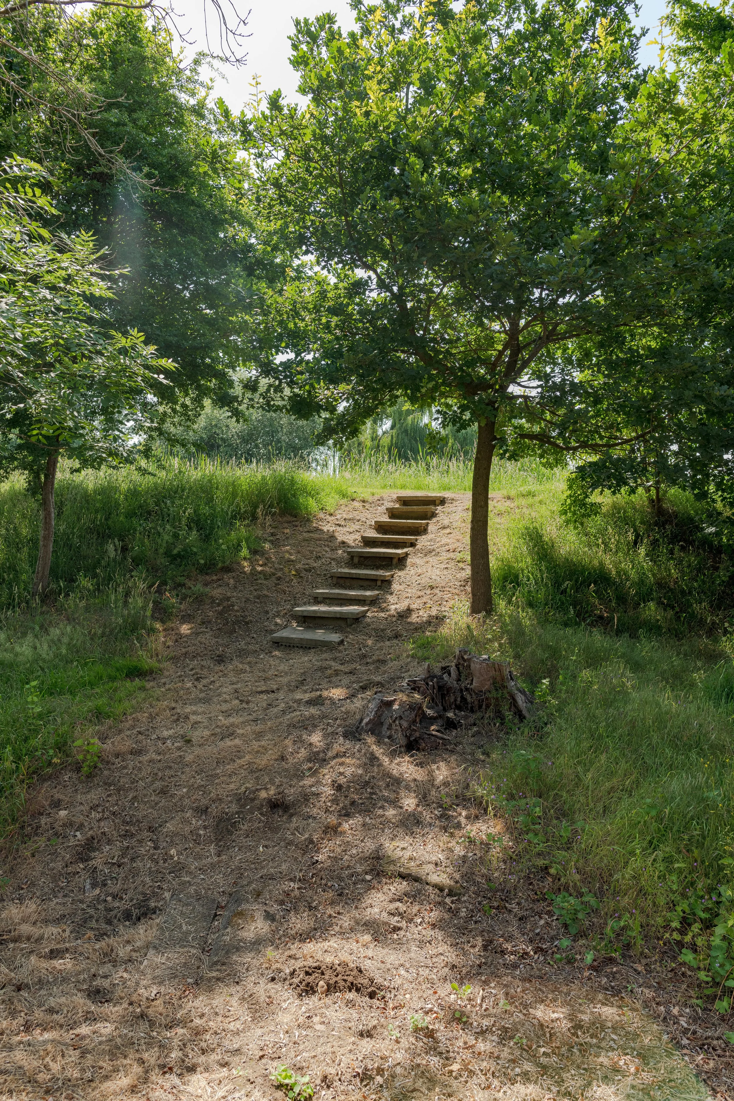Springhill Fram - by CharlieGeaterPhotography 3955.jpg