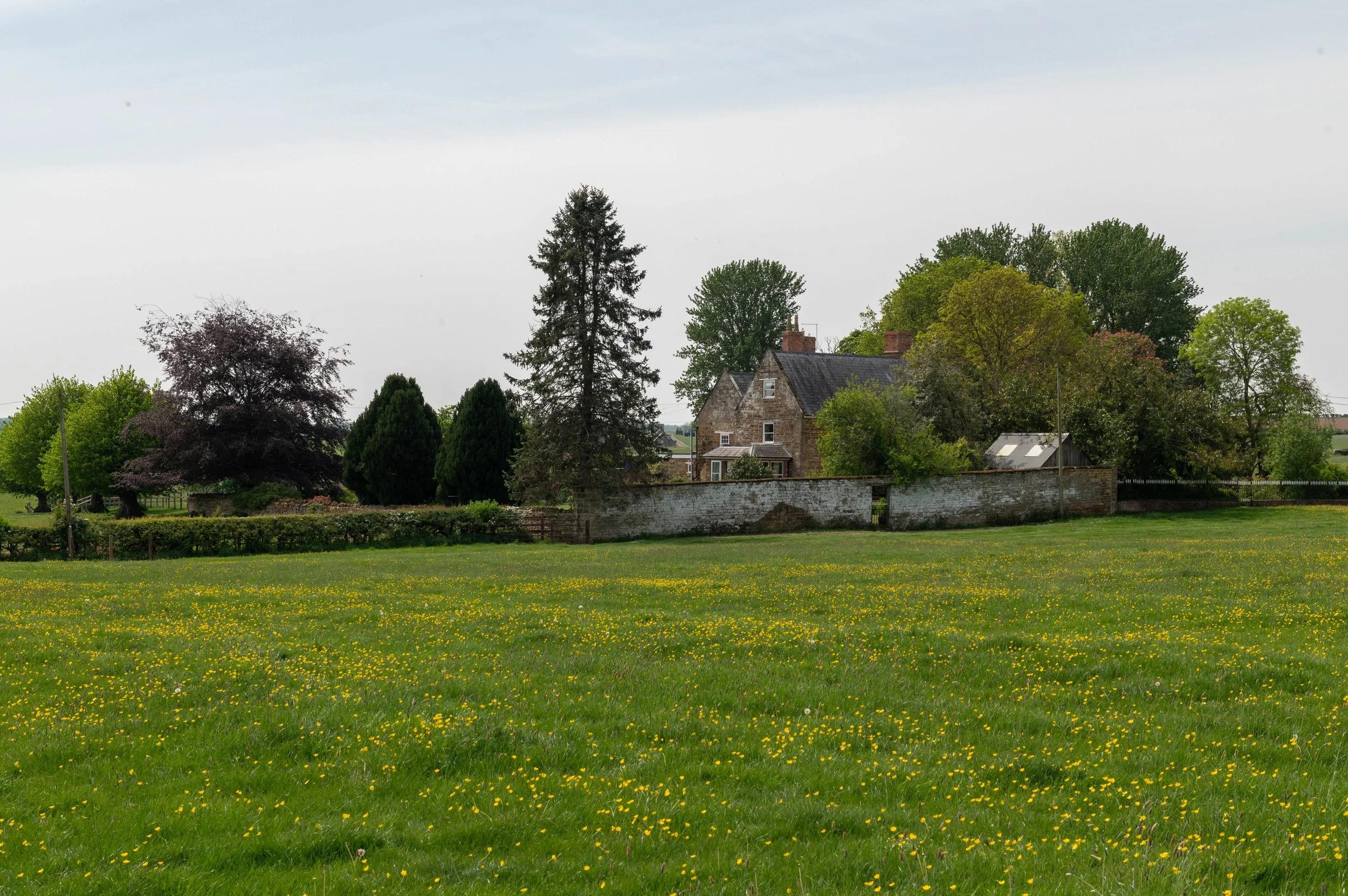 HandleyPF-339.jpg