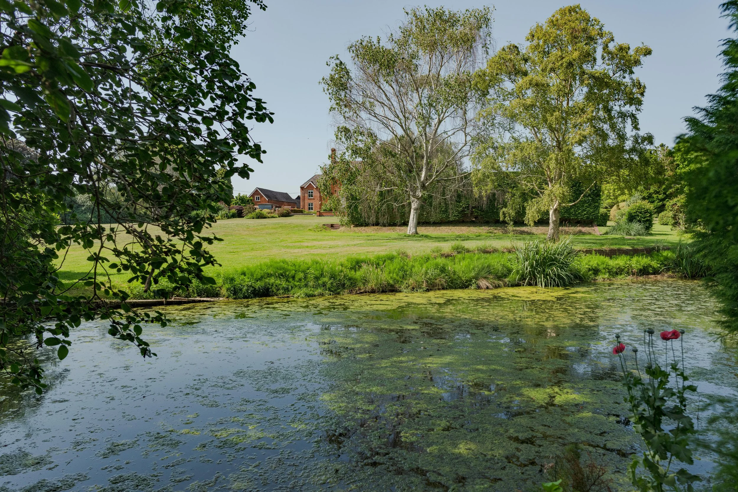 Springhill Fram - by CharlieGeaterPhotography 4000.jpg